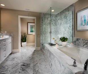 Avanti Master Bath
