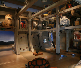 Specialty Lighting