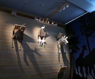 Specialty Lighting